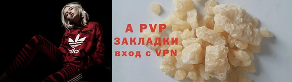 эйфоретик Белокуриха