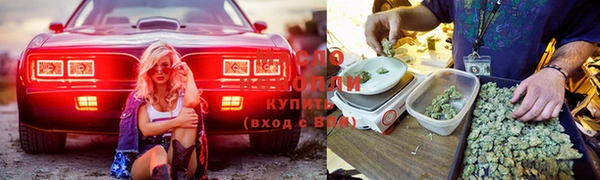эйфоретик Белокуриха